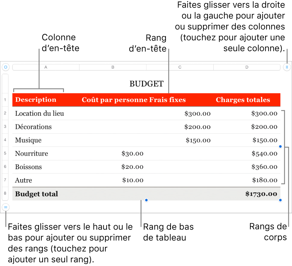 Tableau affichant des rangs et des colonnes d’en-tête, de corps et de bas de tableau, et poignées pour ajouter ou supprimer des rangs ou des colonnes.