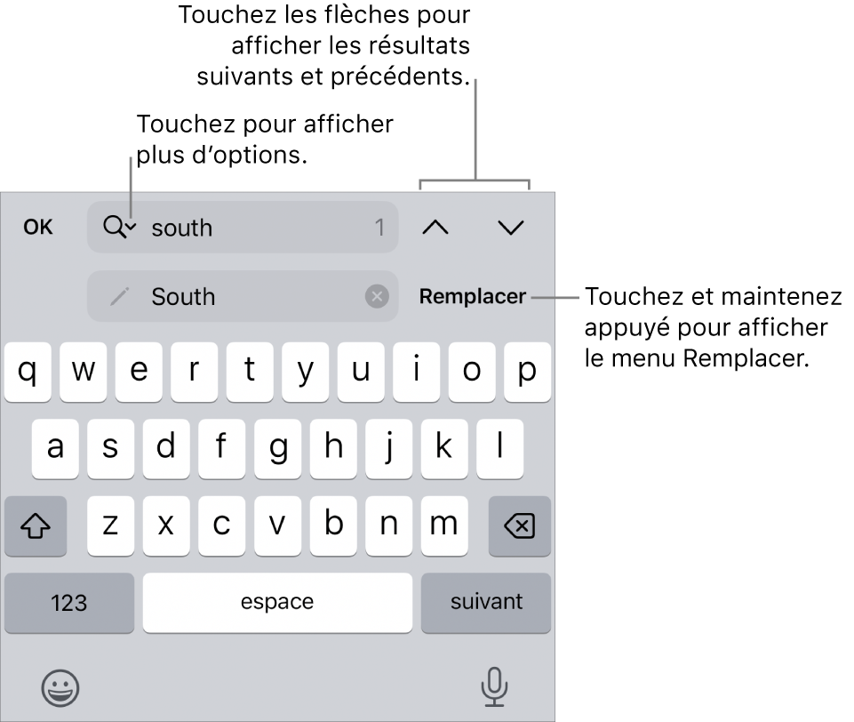 Les commandes de Rechercher et remplacer au-dessus du clavier avec des légendes pour les boutons Options de recherche, Remplacer, Monter et Descendre.