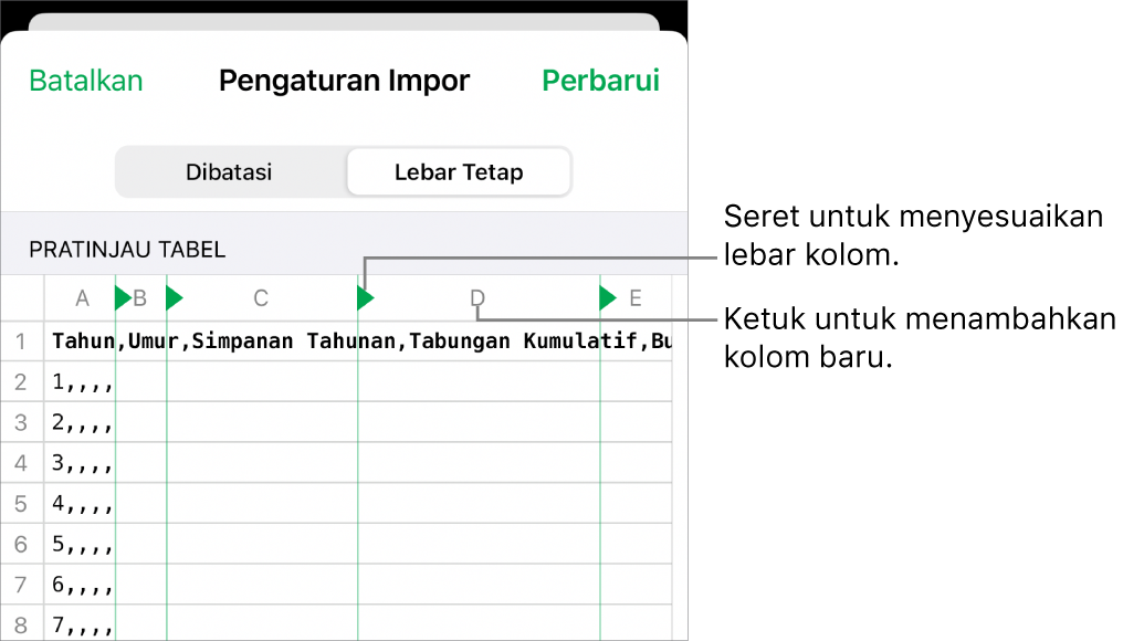 Pengaturan impor untuk file teks lebar tetap.