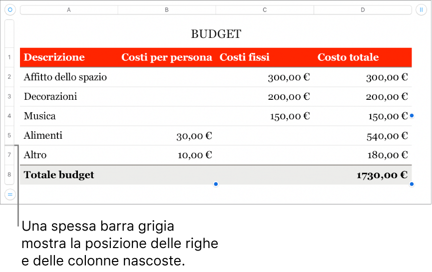 Una spessa barra grigia che mostra la posizione delle righe e colonne nascoste