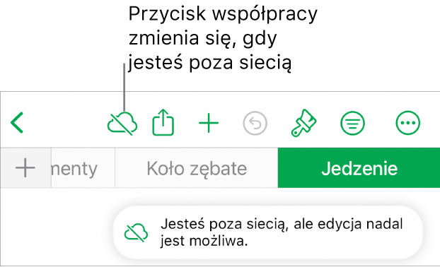 Przyciski znajdują się u góry ekranu; przycisk współpracy wyświetlany jest jako chmura przekreślona ukośną linią. Alert zawierający następującą informację: Brak połączenia z siecią, ale edycja nadal jest możliwa.