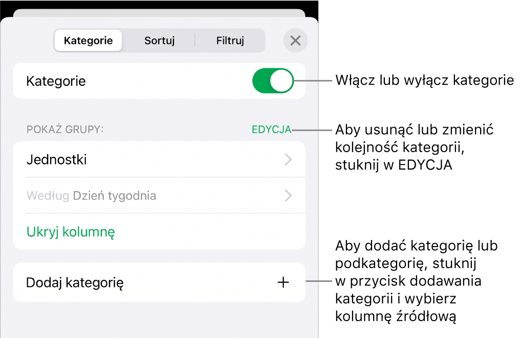 Menu Kategorii dla iPhonie z opcjami wyłączania lub usuwania kategorii, przegrupowywania danych, ukrywania kolumny źródłowej oraz dodawania kategorii.