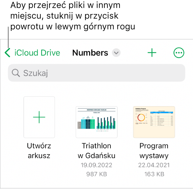 Widok przeglądarki menedżera arkuszy z przyciskiem powrotu w lewym górnym rogu oraz polem wyszukiwania poniżej. Pod polem wyszukiwania znajduje się przycisk tworzenia arkusza oraz miniaturki istniejących arkuszy. W prawym górnym rogu widoczny jest przycisk Dodaj oraz przycisk Więcej.