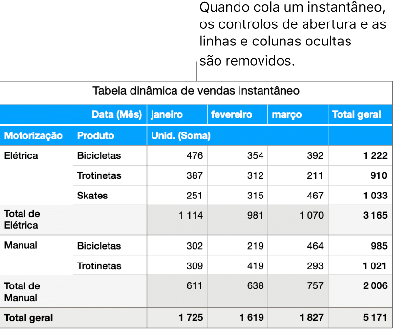 Um instantâneo de uma tabela dinâmica.