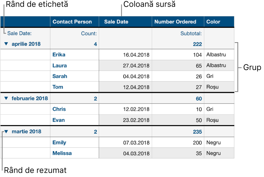 Un tabel categorisit afișând coloana sursă, grupurile, rândul rezumat și rândul de etichete