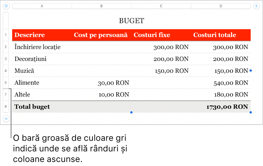 O bară gri groasă care afișează locația rândurilor și coloanelor ascunse.