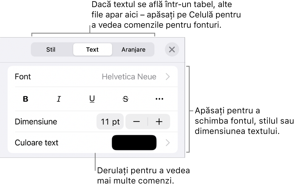 Comenzi text din meniul Format pentru configurarea paragrafelor și a stilurilor, fonturilor, dimensiunii și culorii caracterelor.