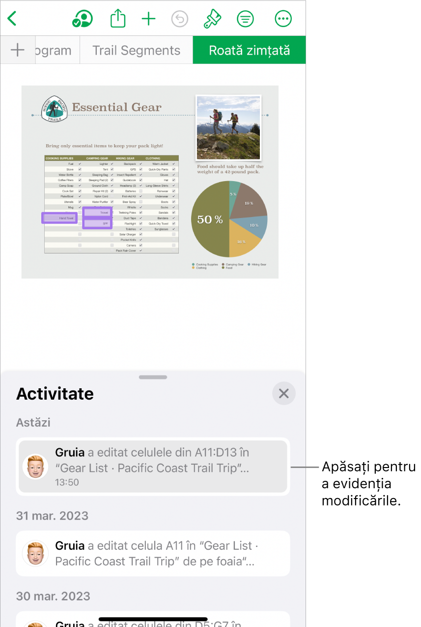 O foaie de calcul colaborativă având deschise meniul pentru colaborare și lista de activități.