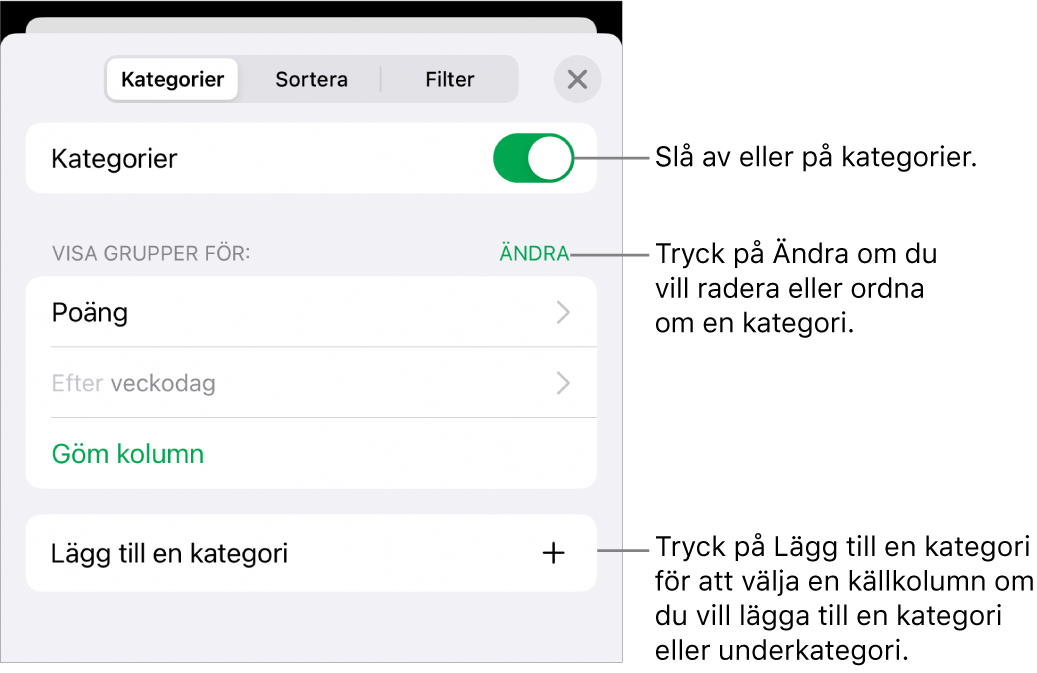 Menyn Kategorier för iPhone med alternativ för att slå av kategorier, radera kategorier, gruppera om data, gömma en källkolumn och lägga till kategorier.