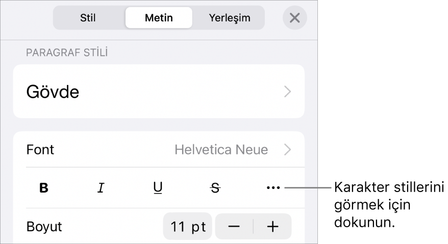 En üstteki paragraf stilleri ile Biçim denetimleri, ardından Font denetimleri. Font’un altında Kalın, İtalik, Altı Çizgili, Üstü Çizgili ve Daha Fazla Metin Seçeneği düğmeleri bulunur.