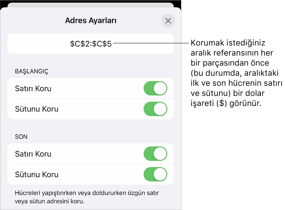 Hücre silindiğinde veya taşındığında hücrenin satır ve sütun referanslarının belirtilmesini sağlayan denetimler. Korumak istediğiniz aralık referansının her bir bölümünden önce bir dolar işareti görünür.