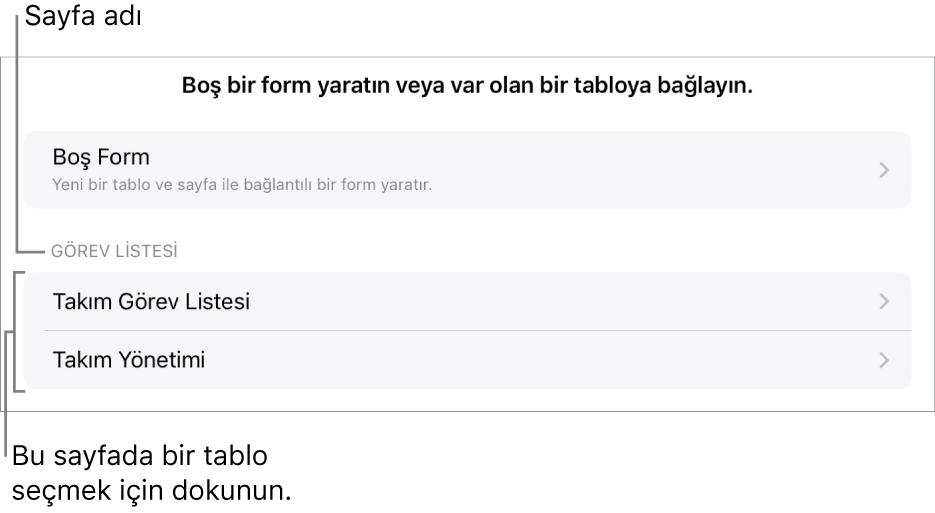 En üstte boş bir form yaratma seçeneği ile birlikte aynı hesap tablosunda bulunan tabloların listesi.