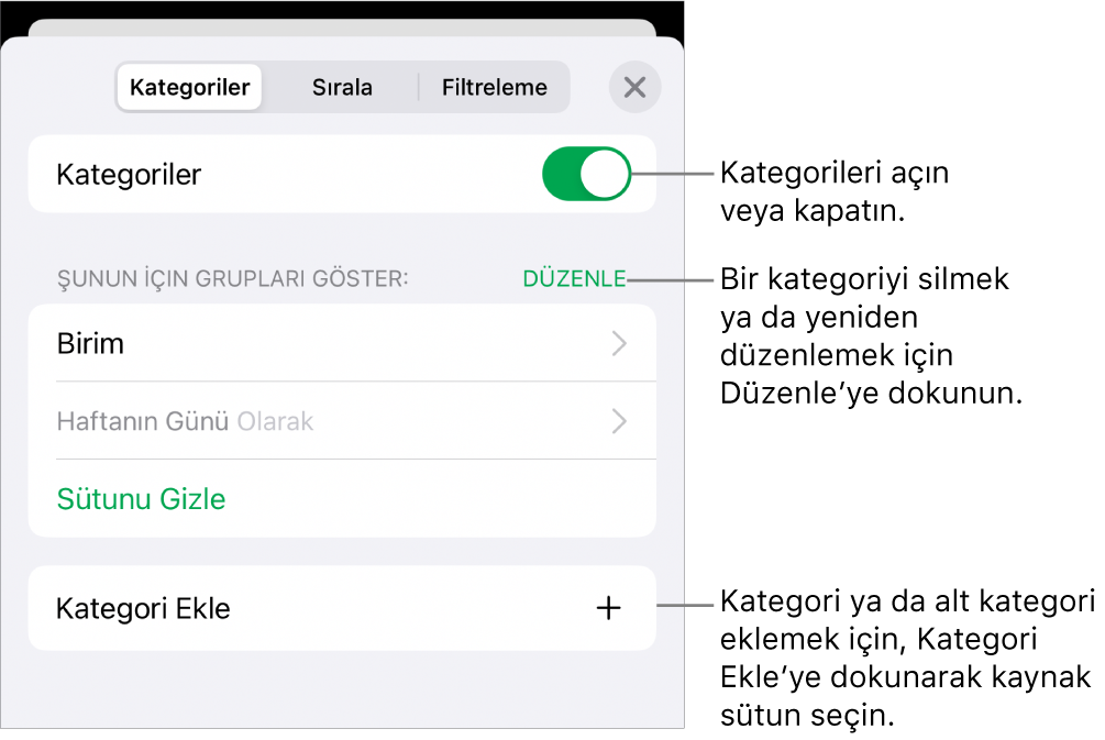 Kategorileri kapatma, kategorileri silme, verileri yeniden gruplama, kaynak sütunu gizleme ve kategori ekleme seçeneklerini içeren, iPhone için Kategoriler menüsü.