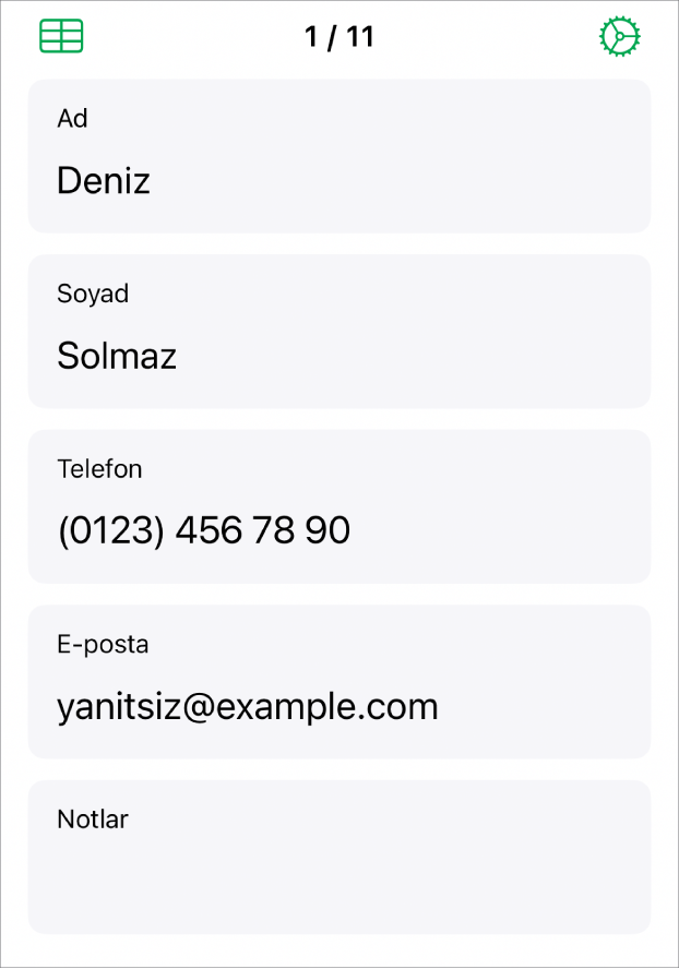 Ad, telefon numarası, e-posta vb. alanlarla formdaki bir kayıt. Ayrıca bağlantılı tabloyu görüntüleme denetimleri ve form ayarı denetimleri.