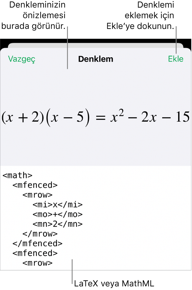 MathML komutları kullanılarak yazılmış bir denklemi ve onun üstünde formülün önizlemesini gösteren Denklem sorgu kutusu.