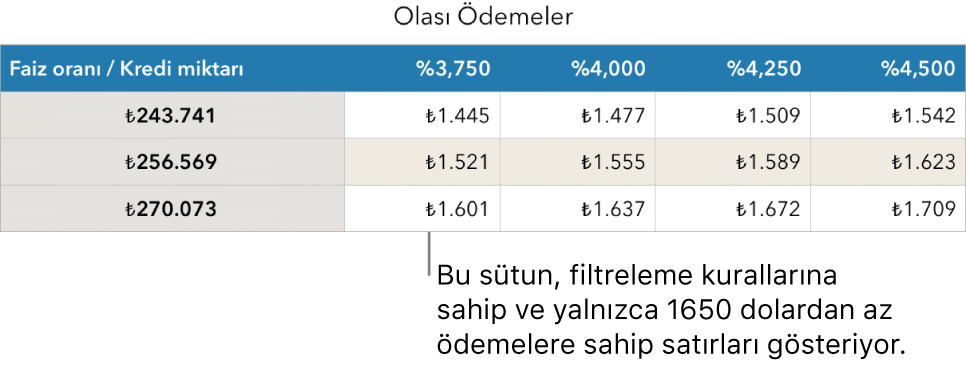 Karşılanabilir faiz oranları için filtre uygulandıktan sonra görünen ev kredisi tablosu.