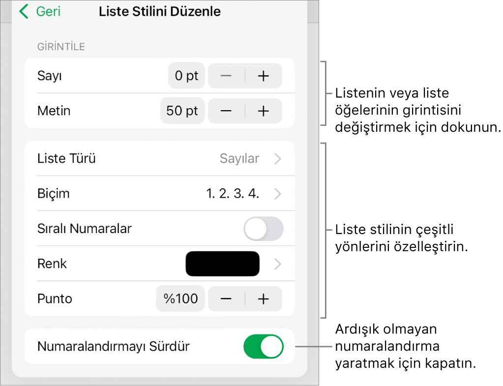 Girinti aralığı, liste türü ve biçimi, katmanlı sayılar, liste rengi ve büyüklüğü ve devamlı numaralandırma denetimleri ile Liste Stilini Düzenle menüsü.