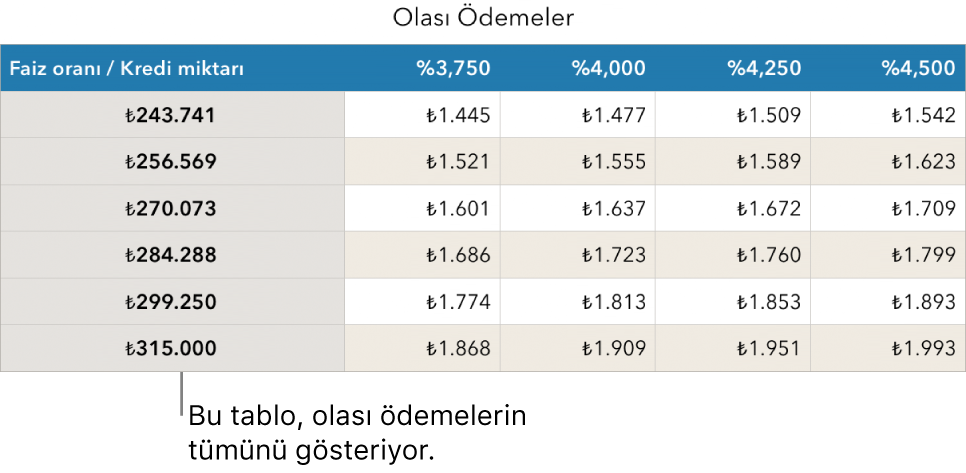 Karşılanabilir faiz oranları için filtre uygulanmadan önce görünen ev kredisi tablosu.