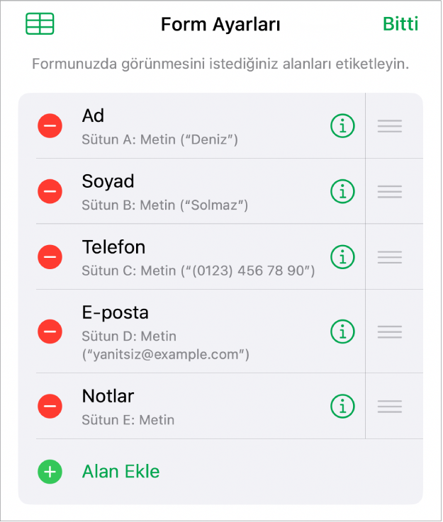 Alanları ekleme, düzenleme, yeniden sıralama, silme ve alanların biçimini değiştirme (örneğin Metin’den Yüzde’ye) seçeneklerini gösteren form ayarı denetimleri.