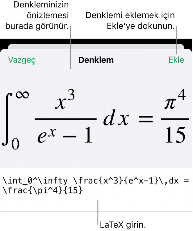 LaTeX komutları kullanılarak yazılmış bir denklemi ve onun üstünde formülün önizlemesini gösteren Denklem sorgu kutusu.