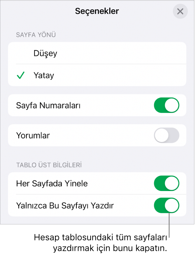 Sayfa yönünü seçme, sayfa numaralarını ve üst bilgilerini gösterme, sayfa boyutu ve hangi sayfaların yazdırılacağını seçmeye yönelik yazdırma seçenekleri.