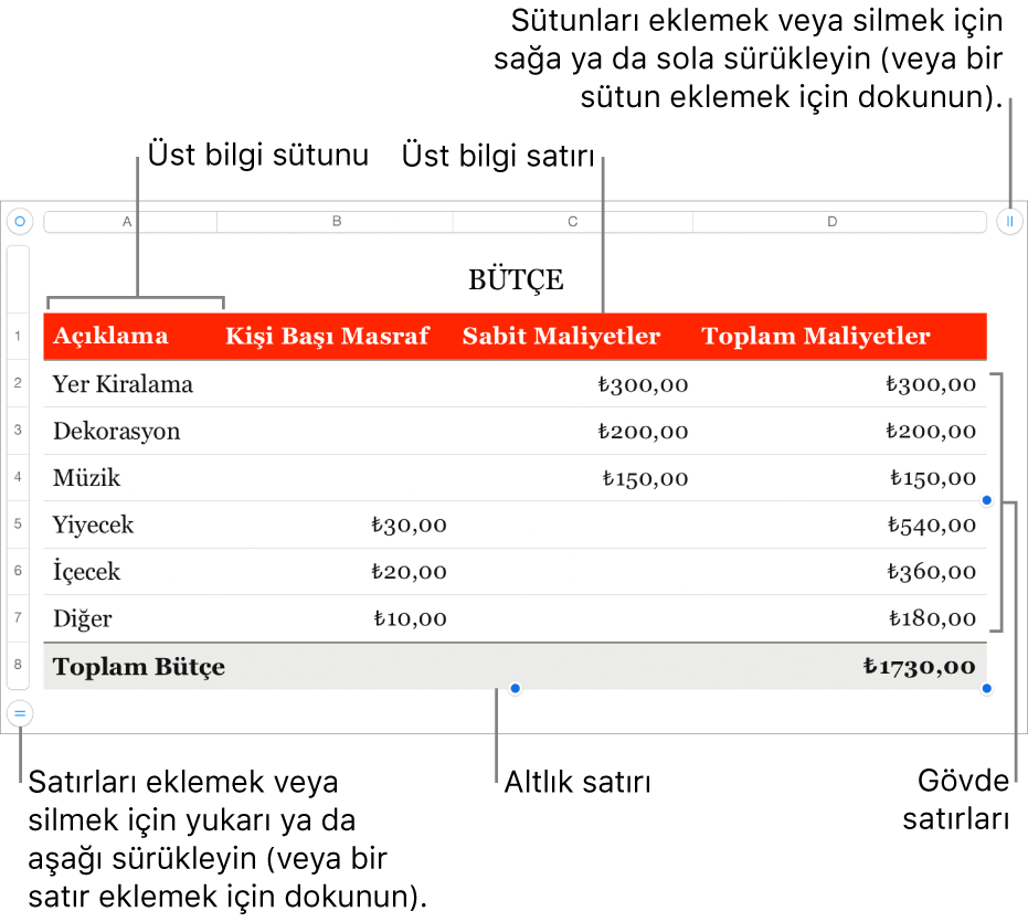 Üst bilgi, gövde ve dipnot satırlarını ve sütunlarını ve satır veya sütun eklemek ya da silmek için tutamakları gösteren bir tablo.