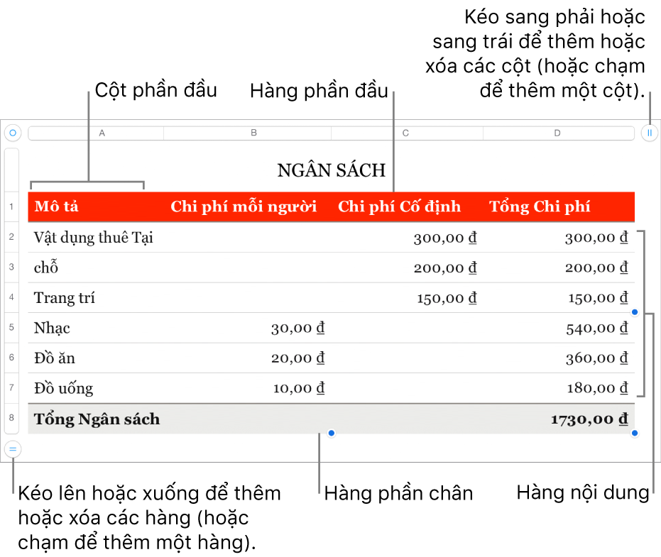 Bảng hiển thị các hàng và cột phần đầu, phần thân và phần chân cũng như các bộ điều khiển để thêm hoặc xóa các hàng hoặc cột.