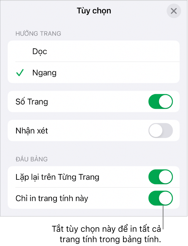 Các tùy chọn in để chọn hướng trang, hiển thị số trang và phần đầu cũng như chọn khổ giấy và trang nào cần in.