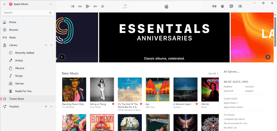 The iTunes Store main window: in the sidebar, iTunes Store is highlighted.