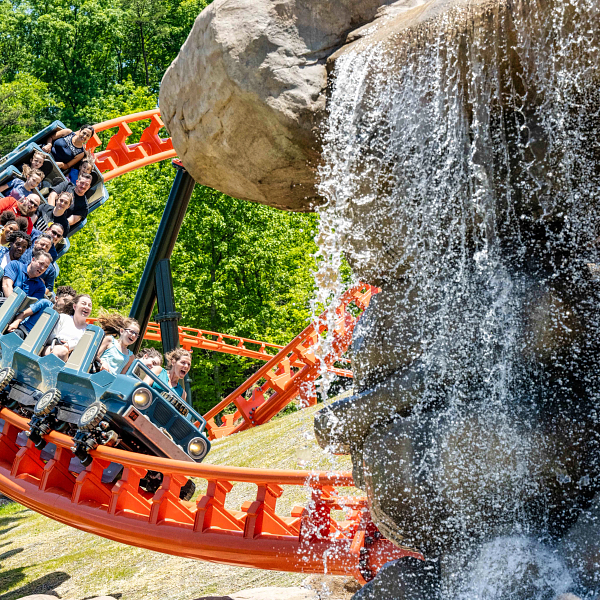 Enjoy our Stay & Play Like A Kid At Dollywood Parks & Resorts offer