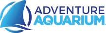 Adventure Aquarium