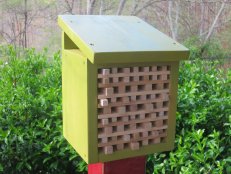 pollinator house