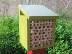 pollinator house