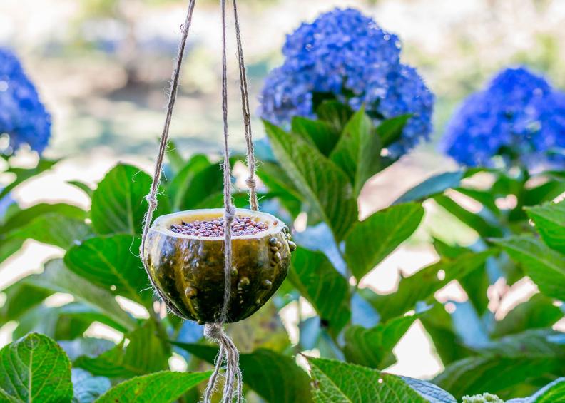 Hanging Gourd Bird Feeder