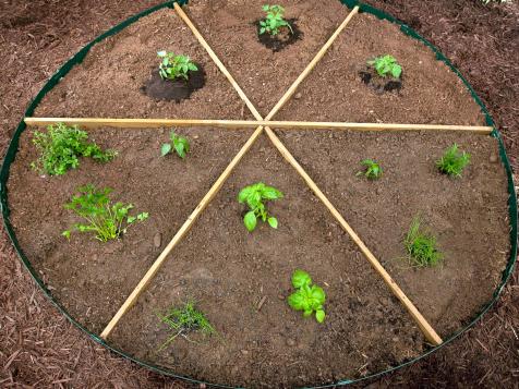 Grow a Pizza Garden