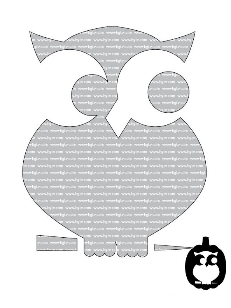 Owl Pumpkin Carving Template 