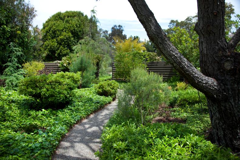 A gravel pathway leads through a garden to a trellis in the distance