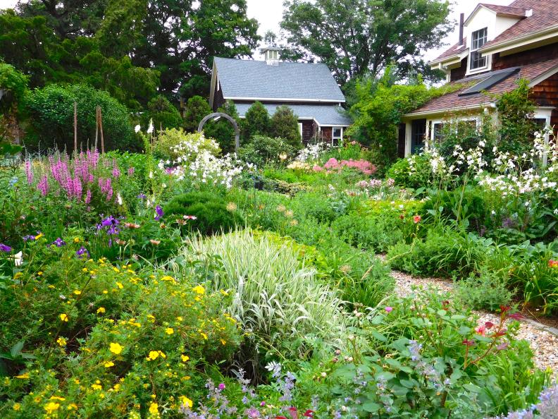 Flowers in bloom in a cottage garden