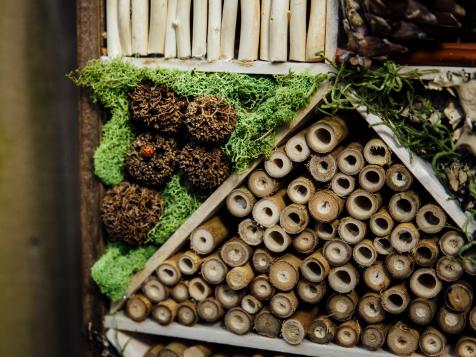 How to Build a Bug Hotel