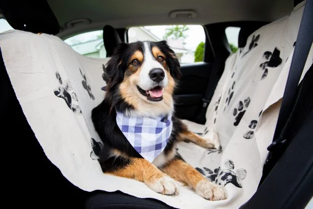 Dog Car Seat Cover With Paw Prints and Dog On It