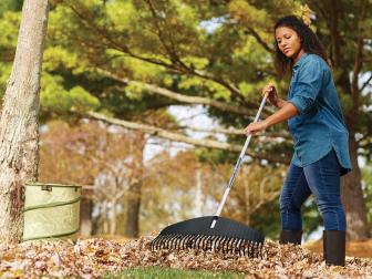 Fall Chores