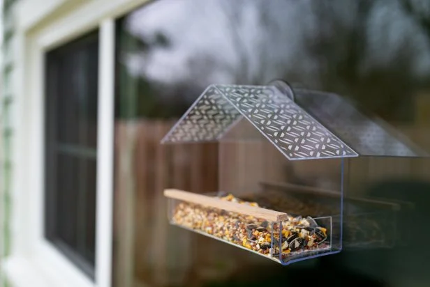 View of Finished Bird Feeder From Outside, Suction Cup on Window