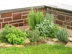 Pocket Herb Garden