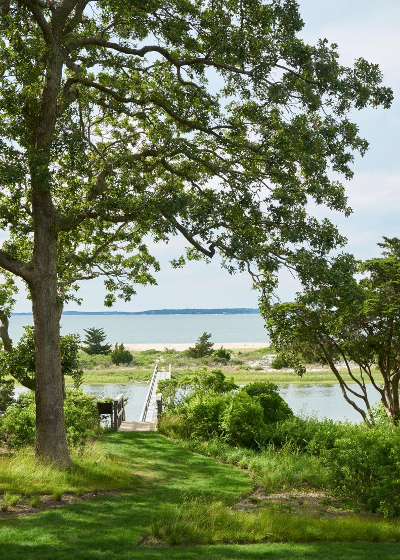 Tall tree with branches leaning over shade-dappled lawn and dock.