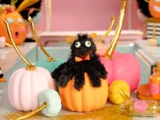 Handmade, smiling spider hand puppet sits on top of pastel pumpkins