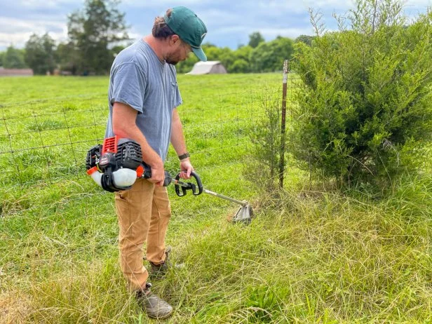 Trimming Weeds Beneath a Fence Row