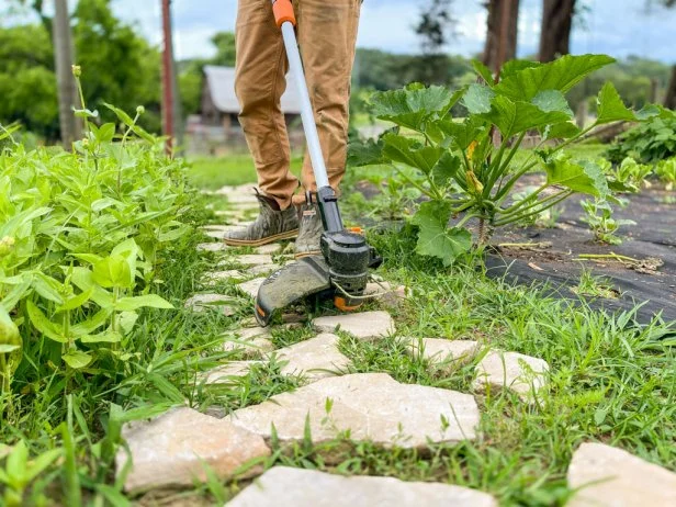 Some string trimmers included special features. This model included a mini mower, which made it easy to trim weeds along a rock garden path.