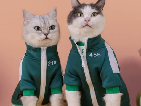 25 Adorable Halloween Costumes for Dogs, Cats and More