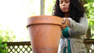 Container Planting