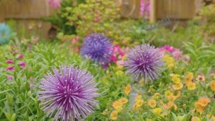 DIY Allium Garden Sculpture